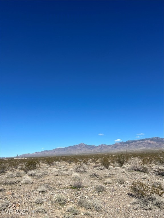 420 Oeste Street Pahrump, NV 89060 - Photo 6 of 8