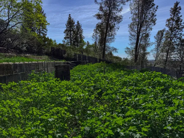 $777,777 | 12941 Wild Rose Court, Penn Valley, CA 95946
