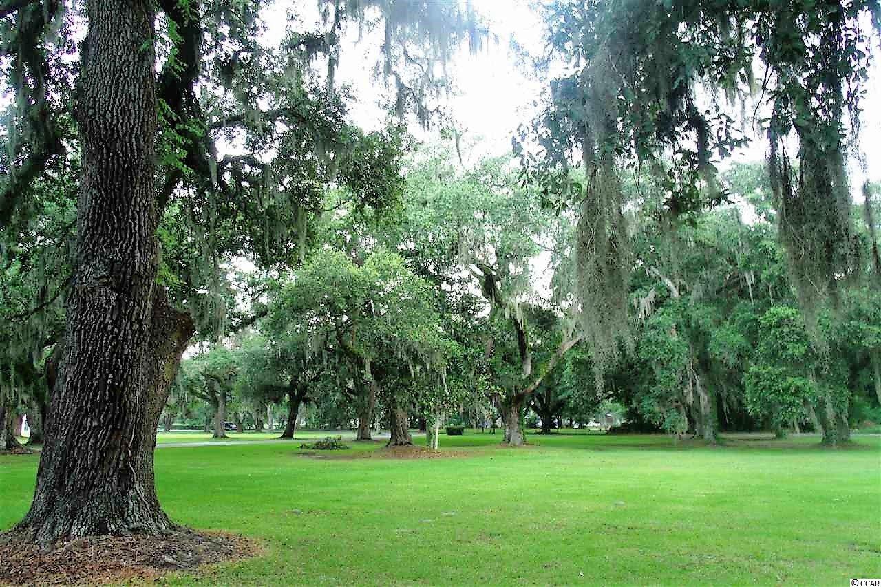 19 Ricefield Place Georgetown, SC 29440 - Photo 25 of 38 Gallery Image 25
