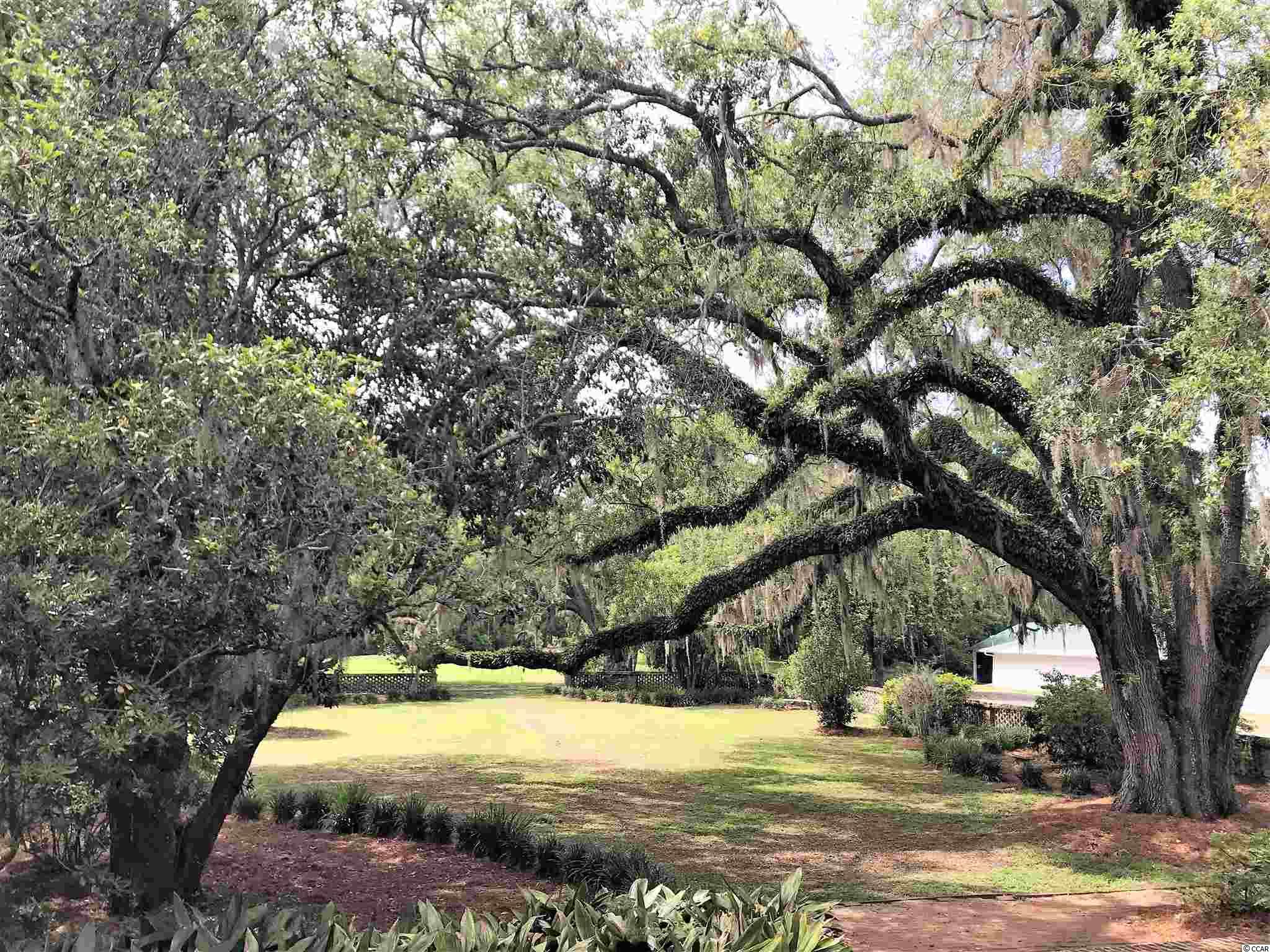 19 Ricefield Place Georgetown, SC 29440 - Photo 27 of 38 Gallery Image 27