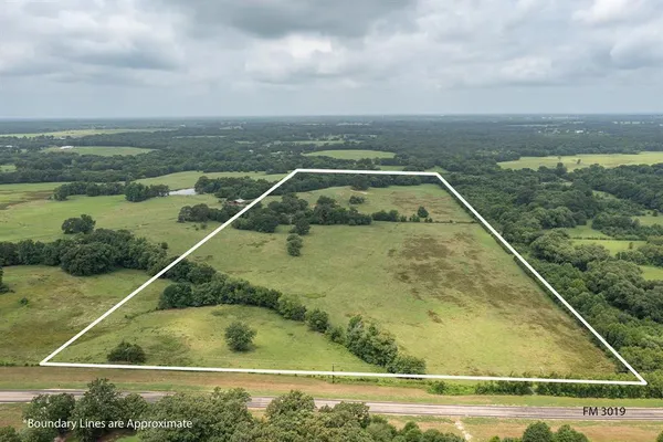 $727,500 | 3019 St Winnsboro Tx 75494, Winnsboro, TX 75494