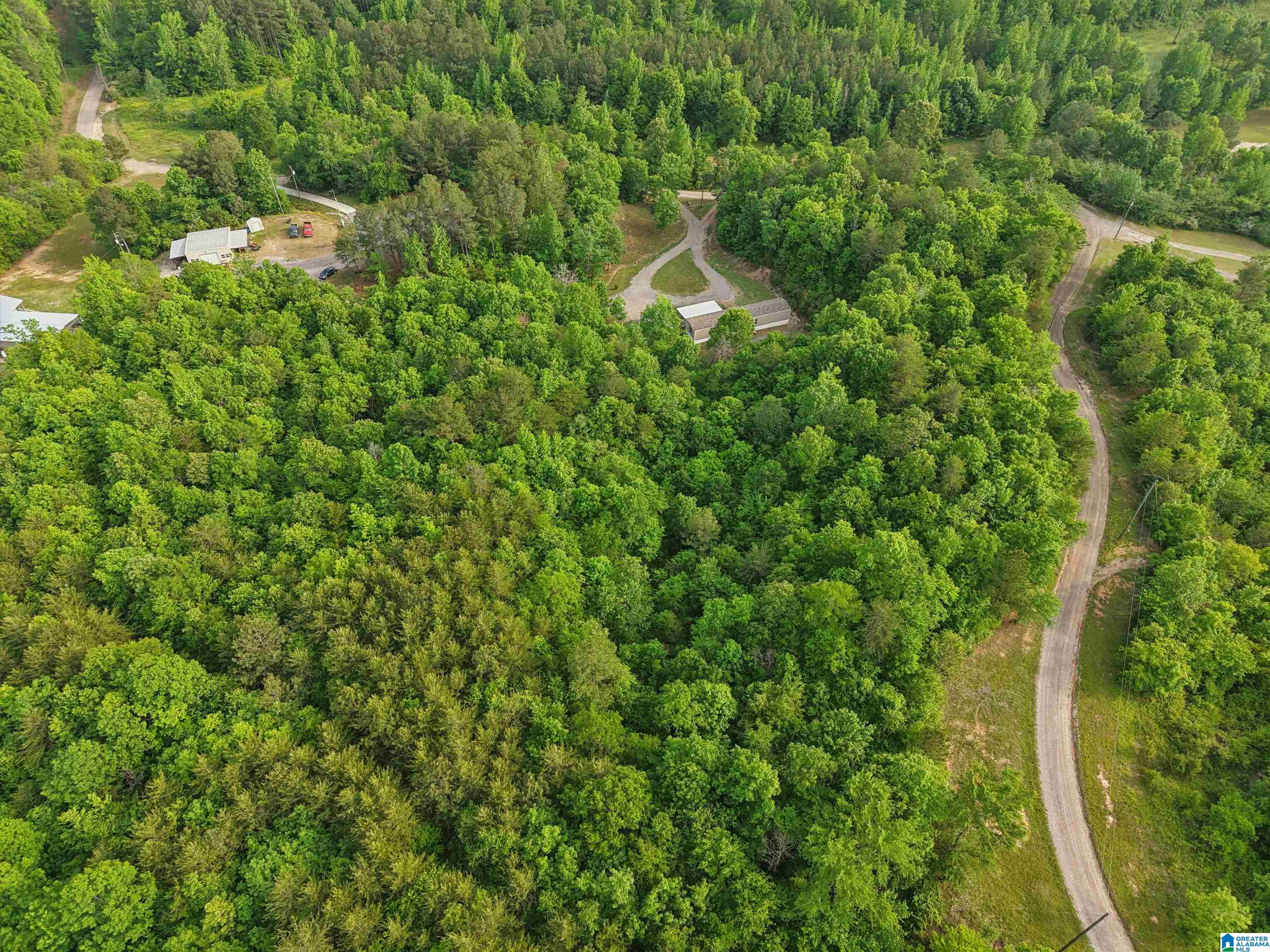3151 Valley Ford Road Adger, AL 35006 - Photo 48 of 49