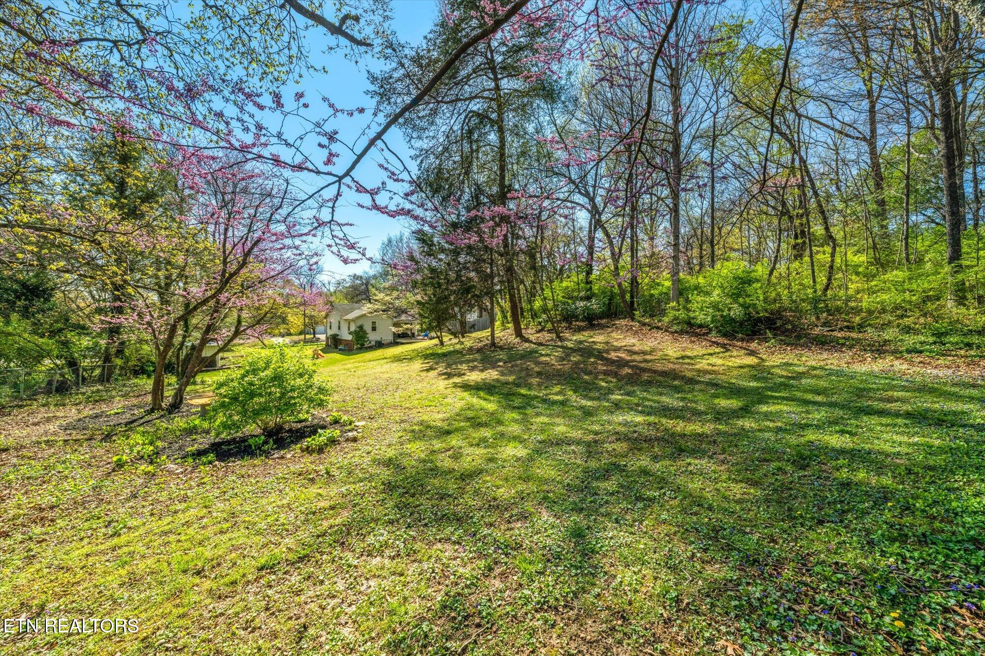 6010 Oak Road Knoxville, TN 37912 - Photo 26 of 30 27-6010-Oak-Rd-Knoxville-TN-27