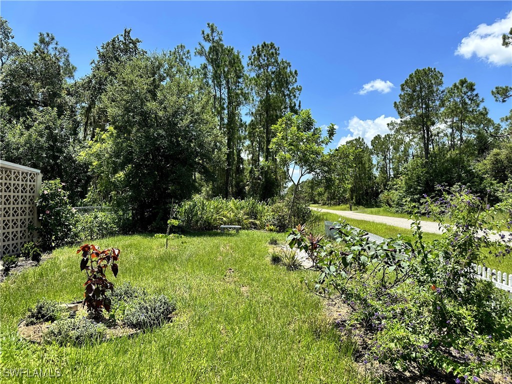 818 Sheldon Avenue Lehigh Acres, FL 33936 - Photo 37 of 43 a view of a garden with a tree
