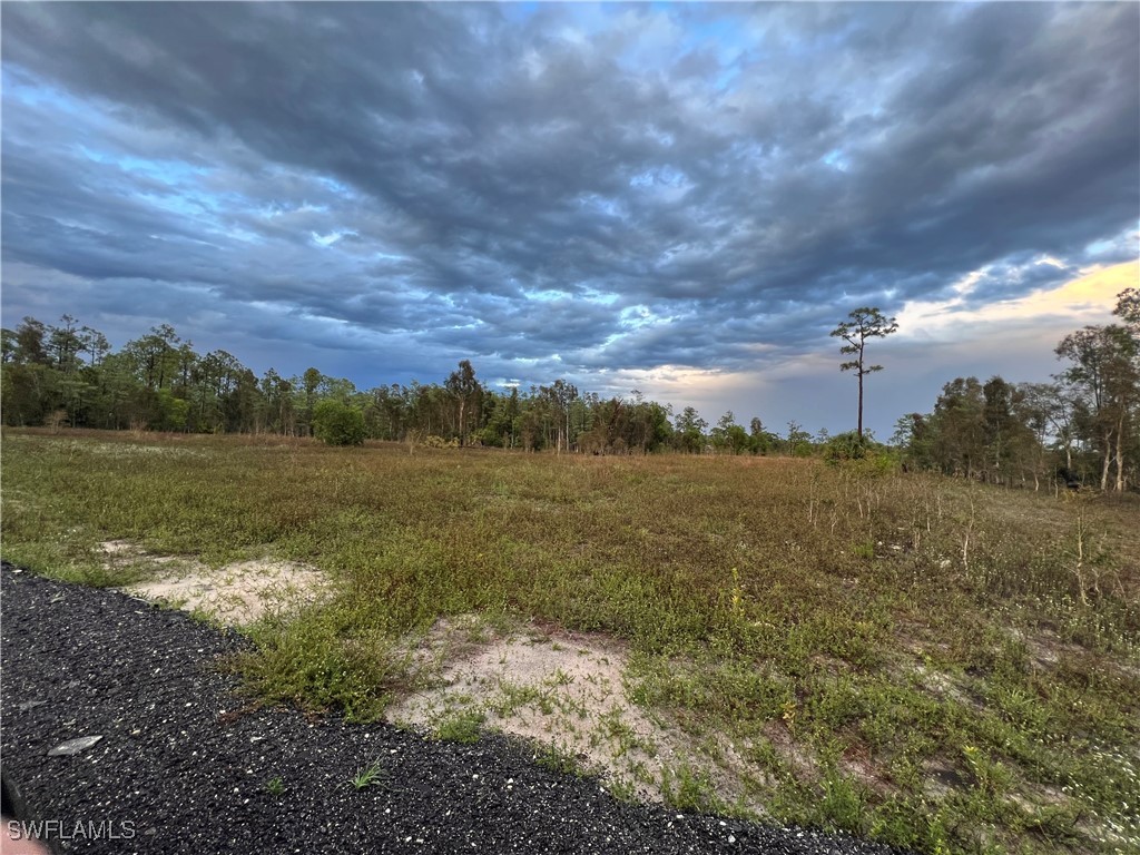21075 Country Living Road Estero, FL 33928 - Photo 6 of 18