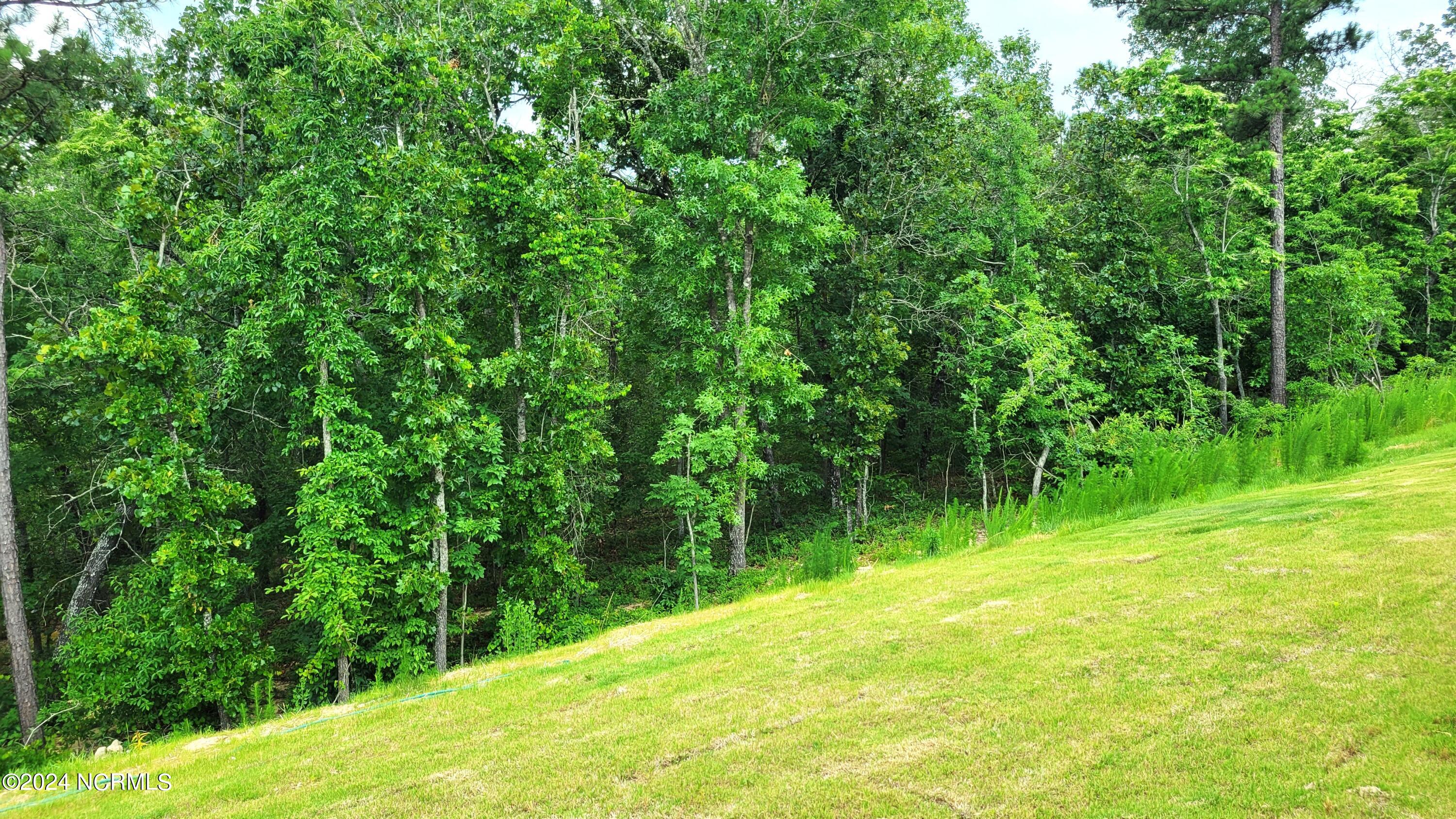 2707 Gracie Lane Carthage, NC 28327 - Photo 40 of 45 20240605_150813