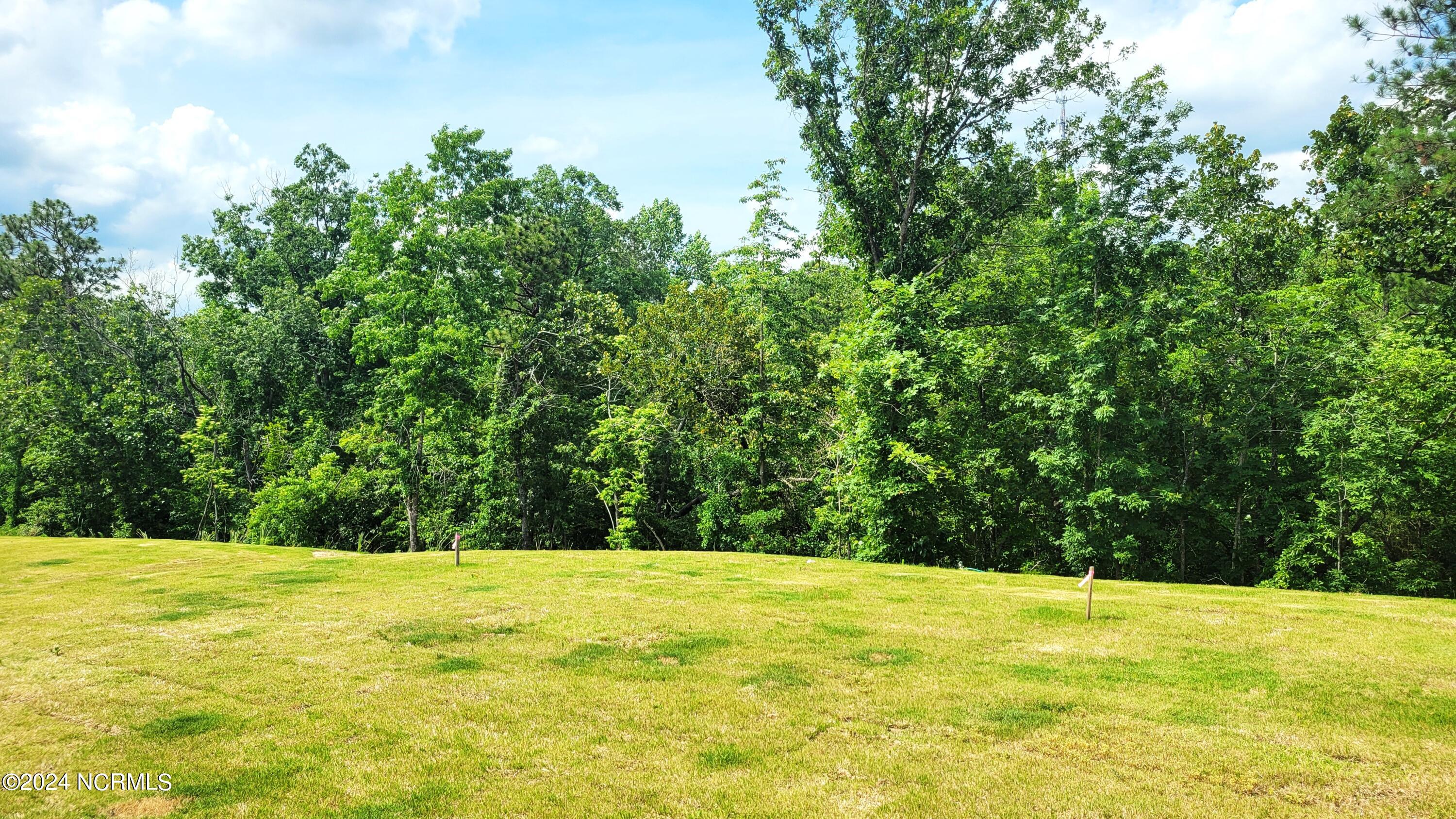 2707 Gracie Lane Carthage, NC 28327 - Photo 41 of 45 20240605_152723