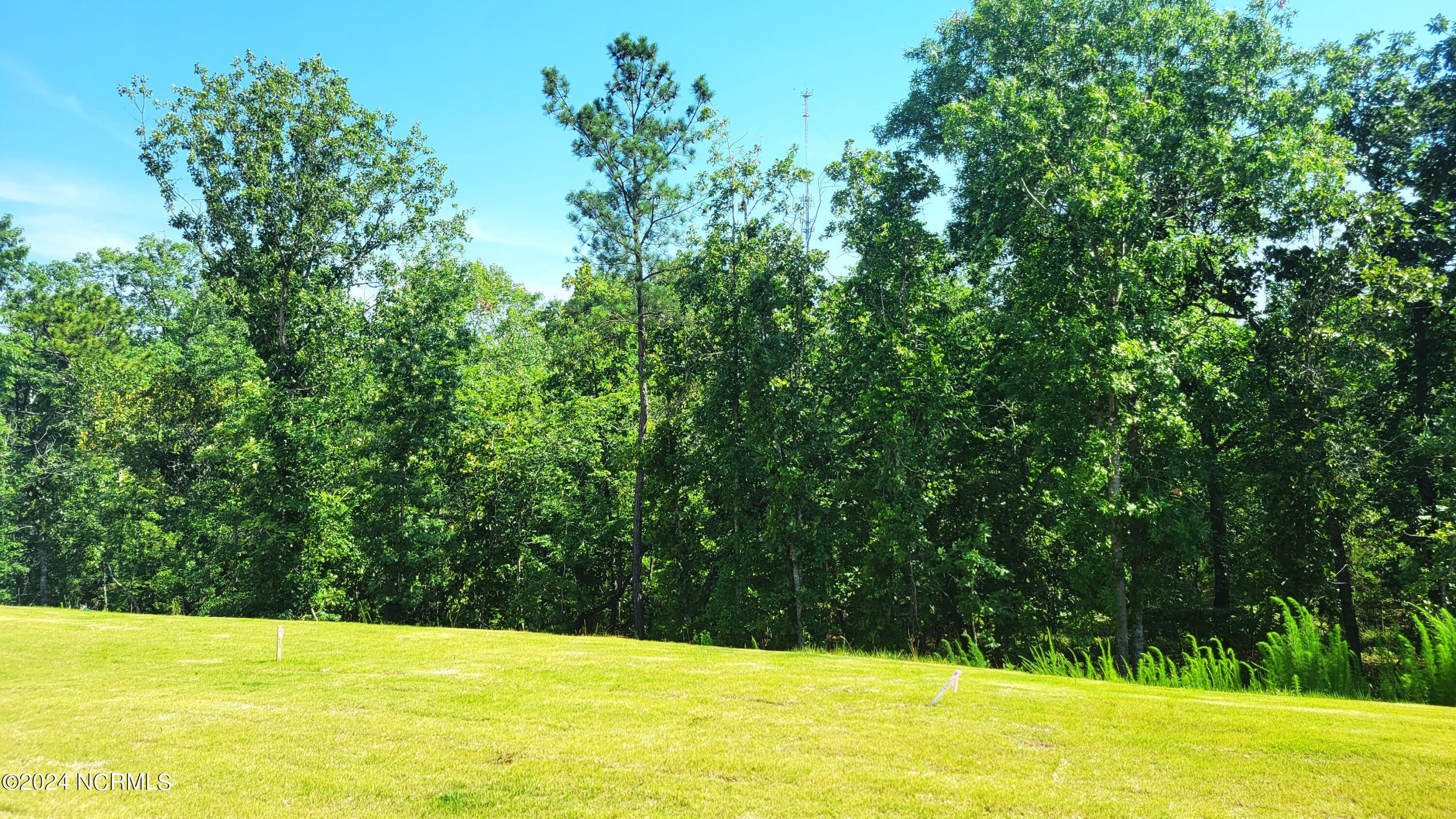 2707 Gracie Lane Carthage, NC 28327 - Photo 44 of 45 20240613_102043