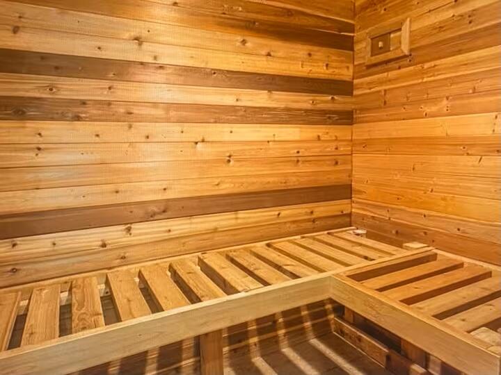 3470 East Highland Road Howell, MI 48843 - Photo 24 of 29 Sauna