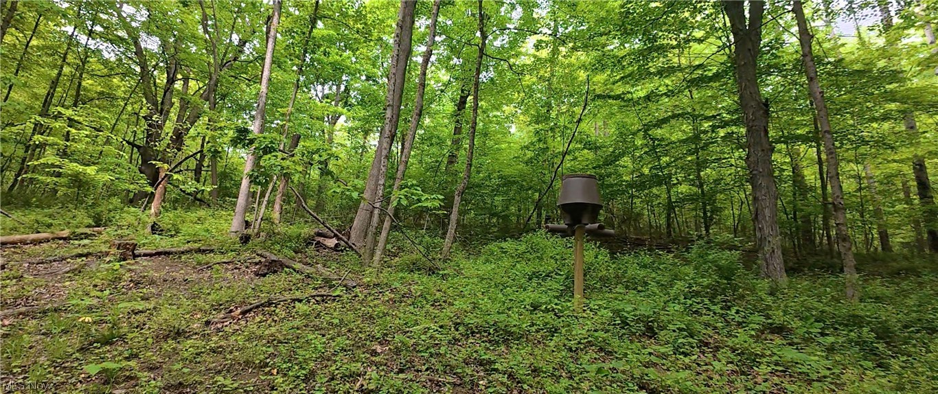 Tatman Road Uhrichsville, OH 44683 - Photo 7 of 11