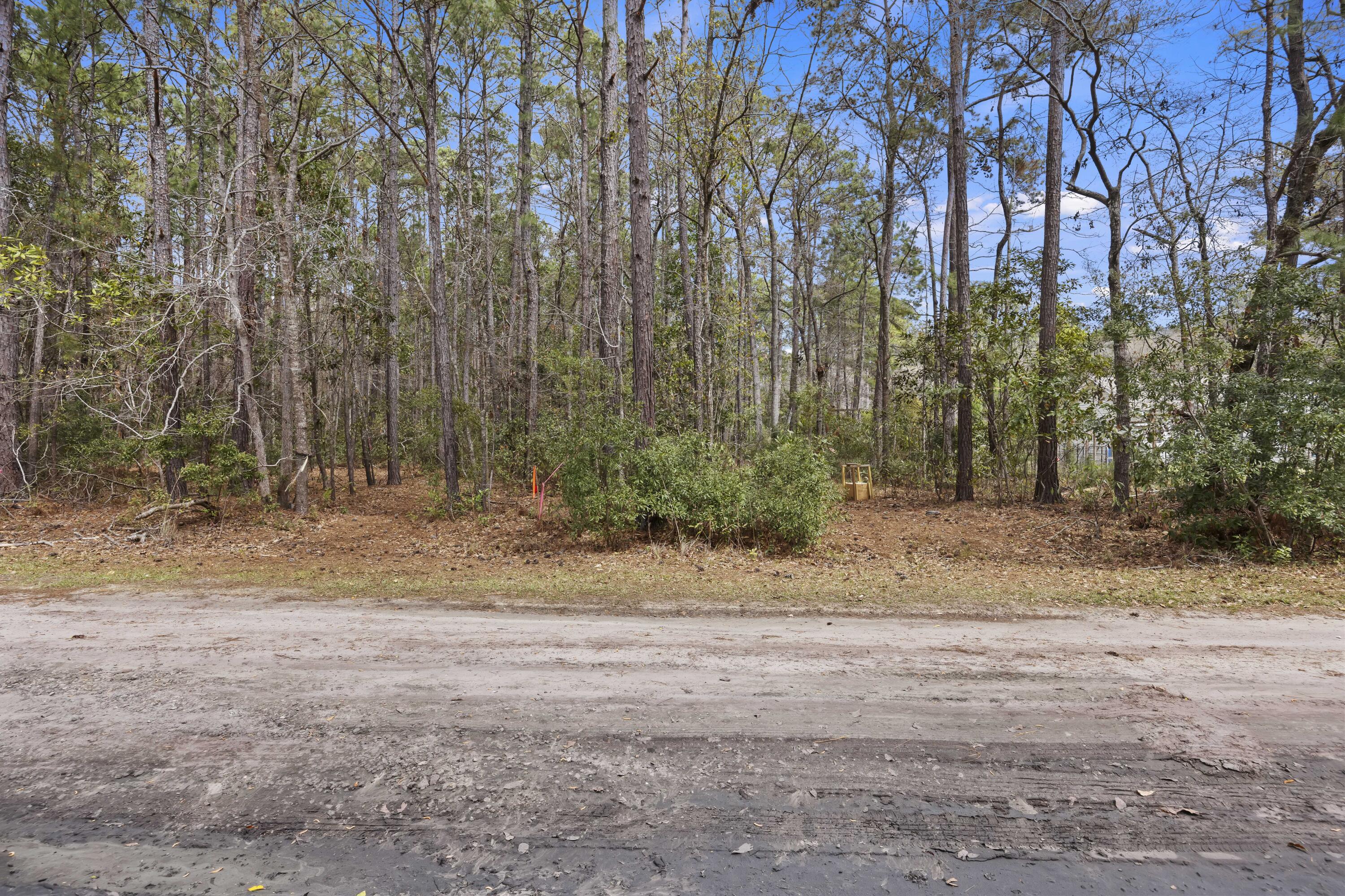 4 B Sebago Road Meggett, SC 29449 - Photo 6 of 10 243A3137