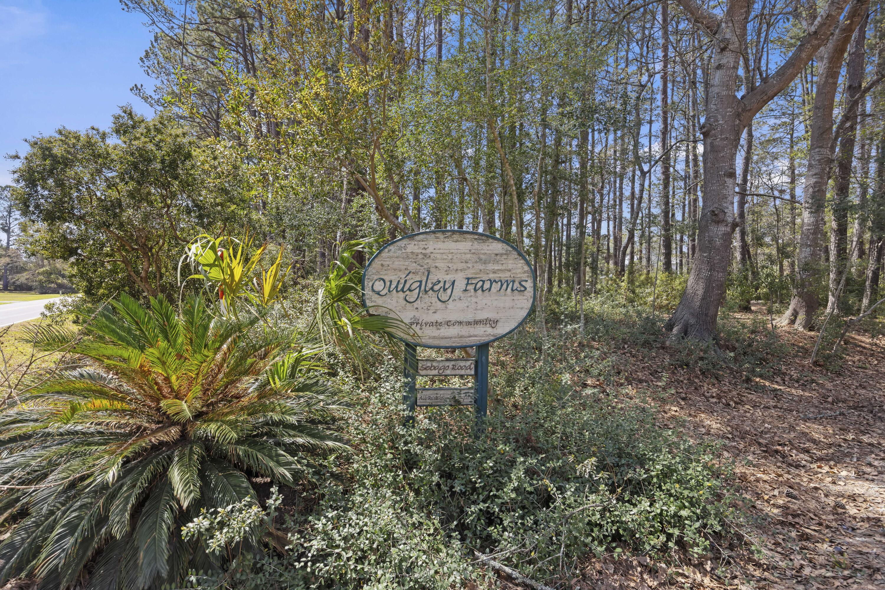4 B Sebago Road Meggett, SC 29449 - Photo 9 of 10 243A3147