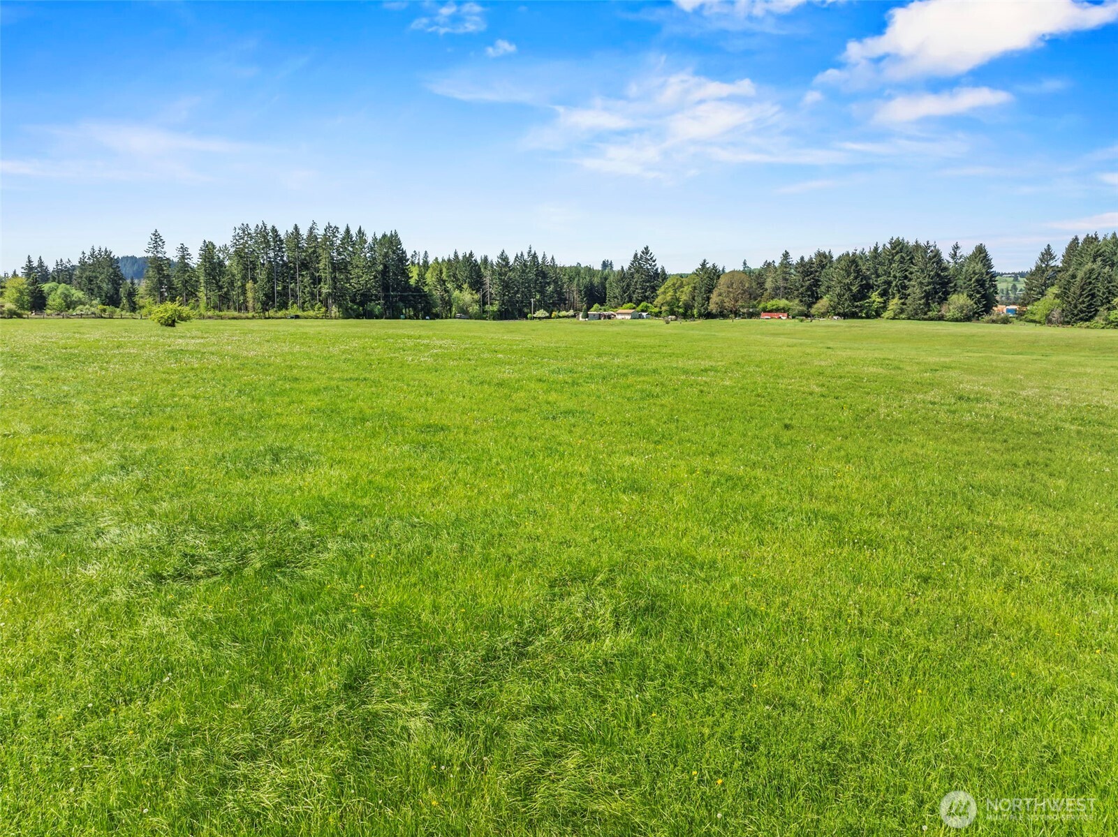 0 East Hale Road Winlock, WA 98596 - Photo 19 of 22 Gallery Image 19