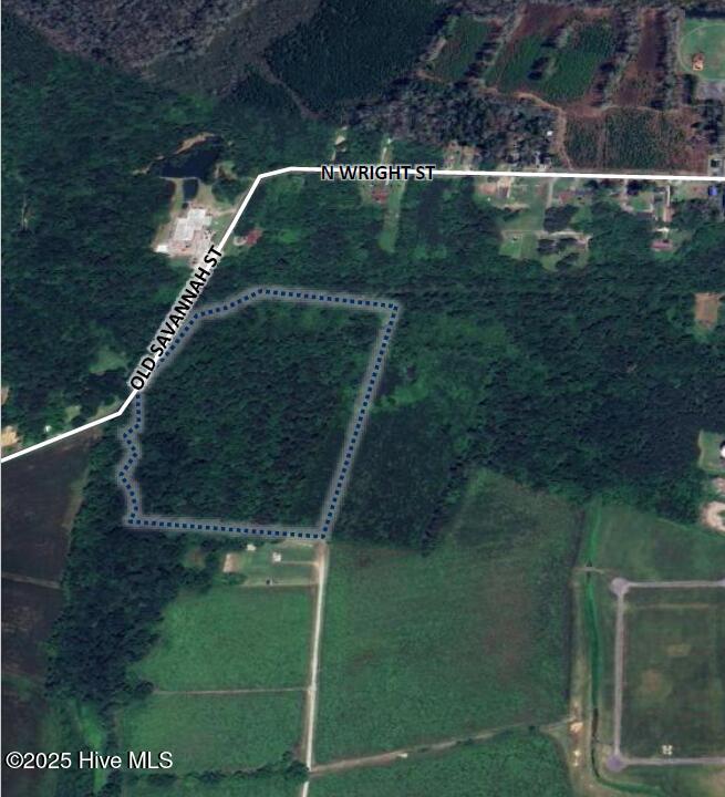 1 Old Savannah Road Burgaw, NC 28425 - Photo 1 of 1 OVERVIEW