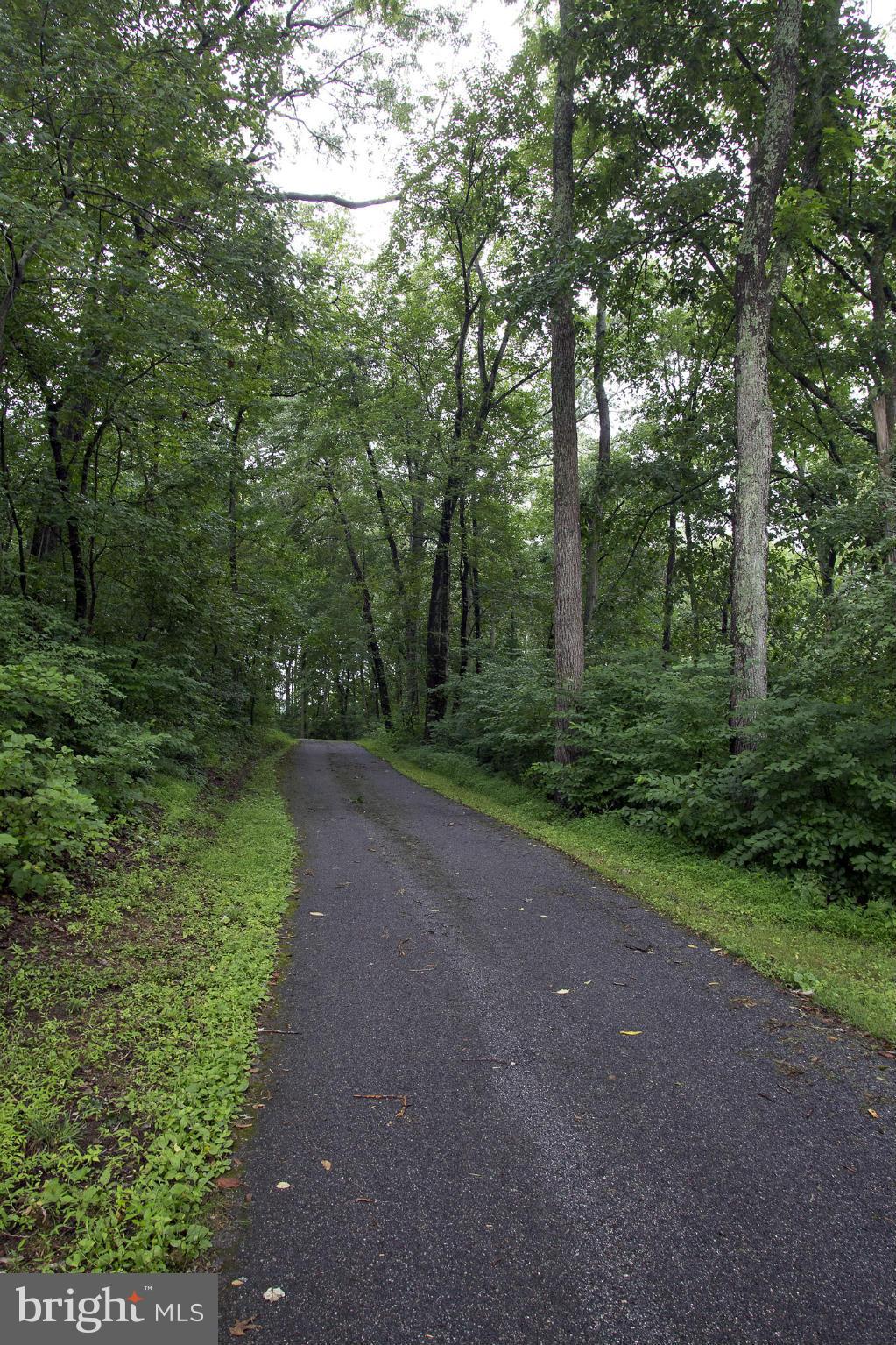 18006 Marshall Mill Road Hampstead, MD 21074 - Photo 26 of 30 Private Driveway