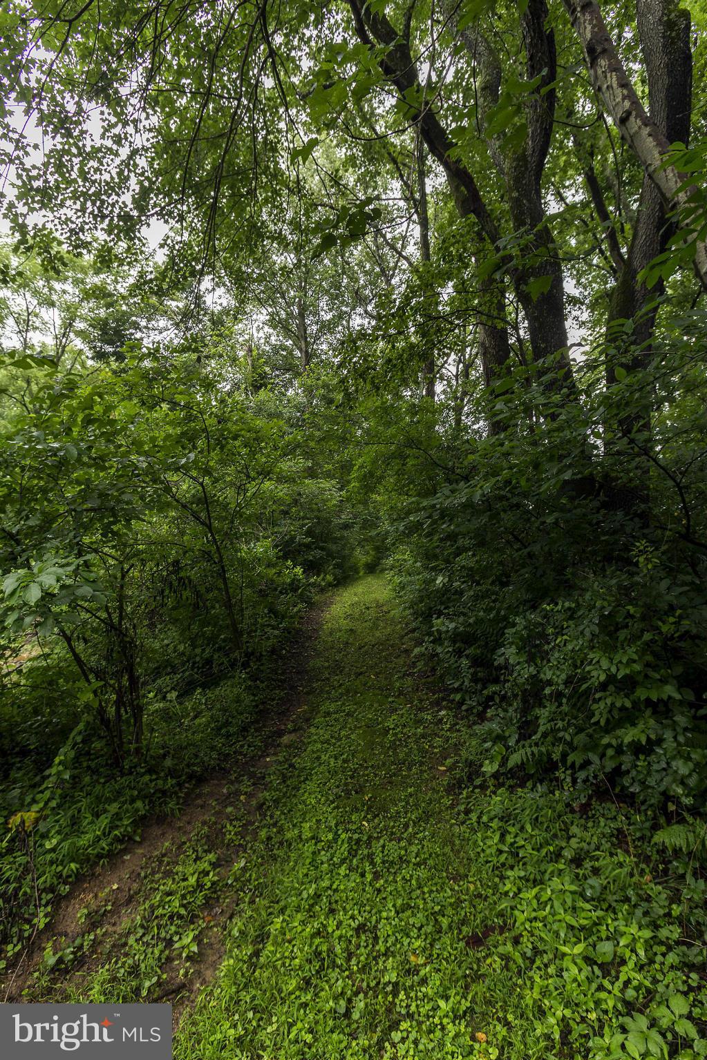 18006 Marshall Mill Road Hampstead, MD 21074 - Photo 29 of 30 Scenic Trails