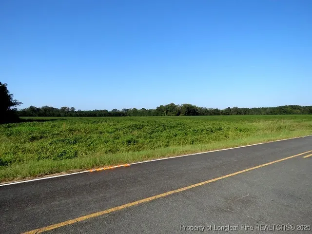 a view of a green field with an ocean view
