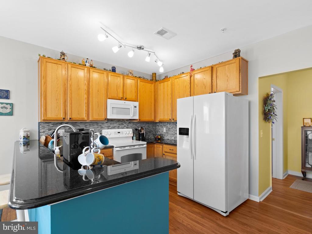 8600 Roaming Ridge Way, Unit 302 Odenton, MD 21113 - Photo 17 of 77 Kitchen