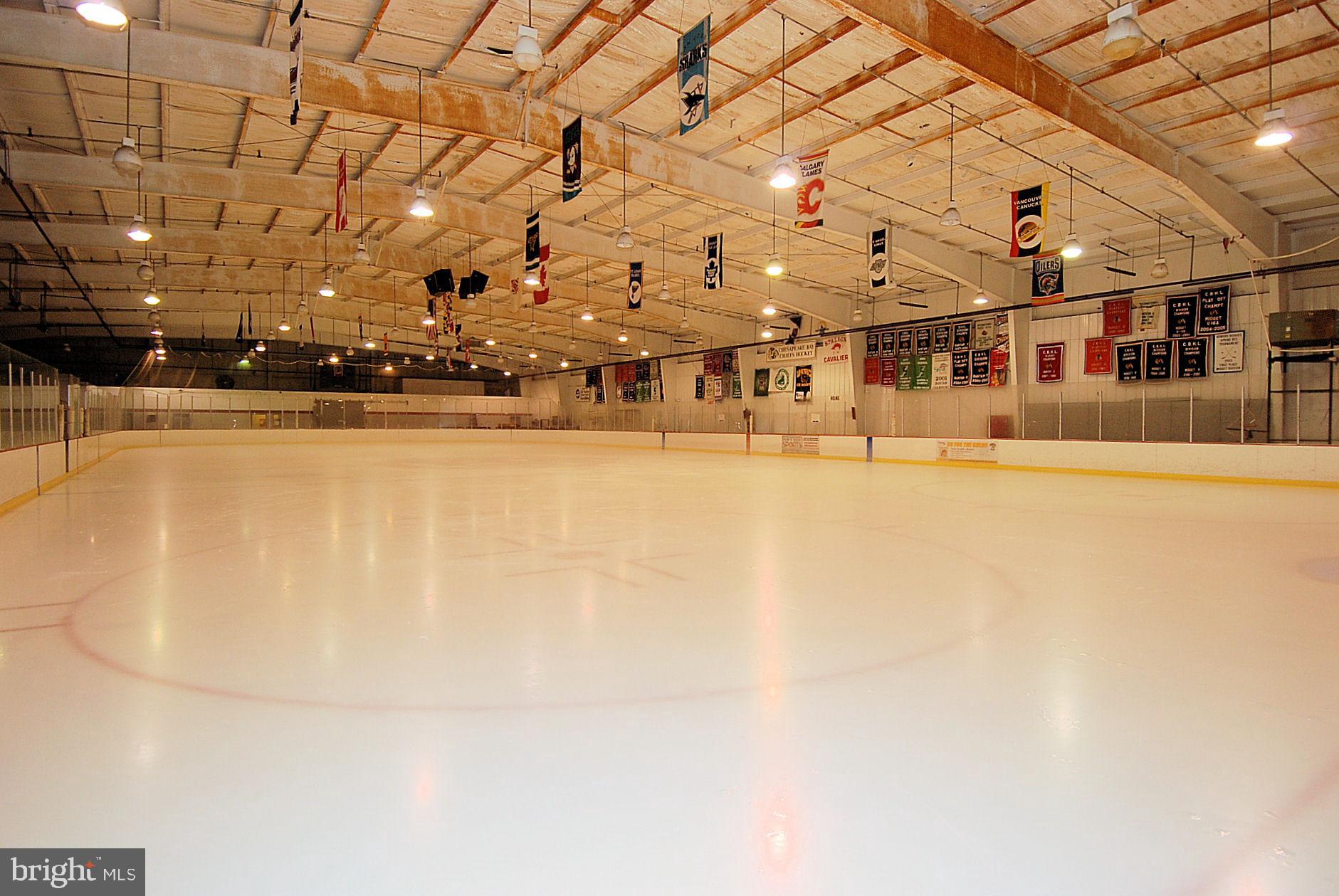 8600 Roaming Ridge Way, Unit 302 Odenton, MD 21113 - Photo 77 of 77 Ice Skating Rink