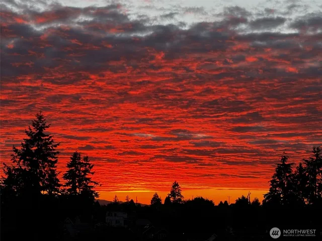 a view of city and mountain