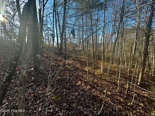 $120,000 | 2828 Playmore Beach Road, Morganton, NC 28655