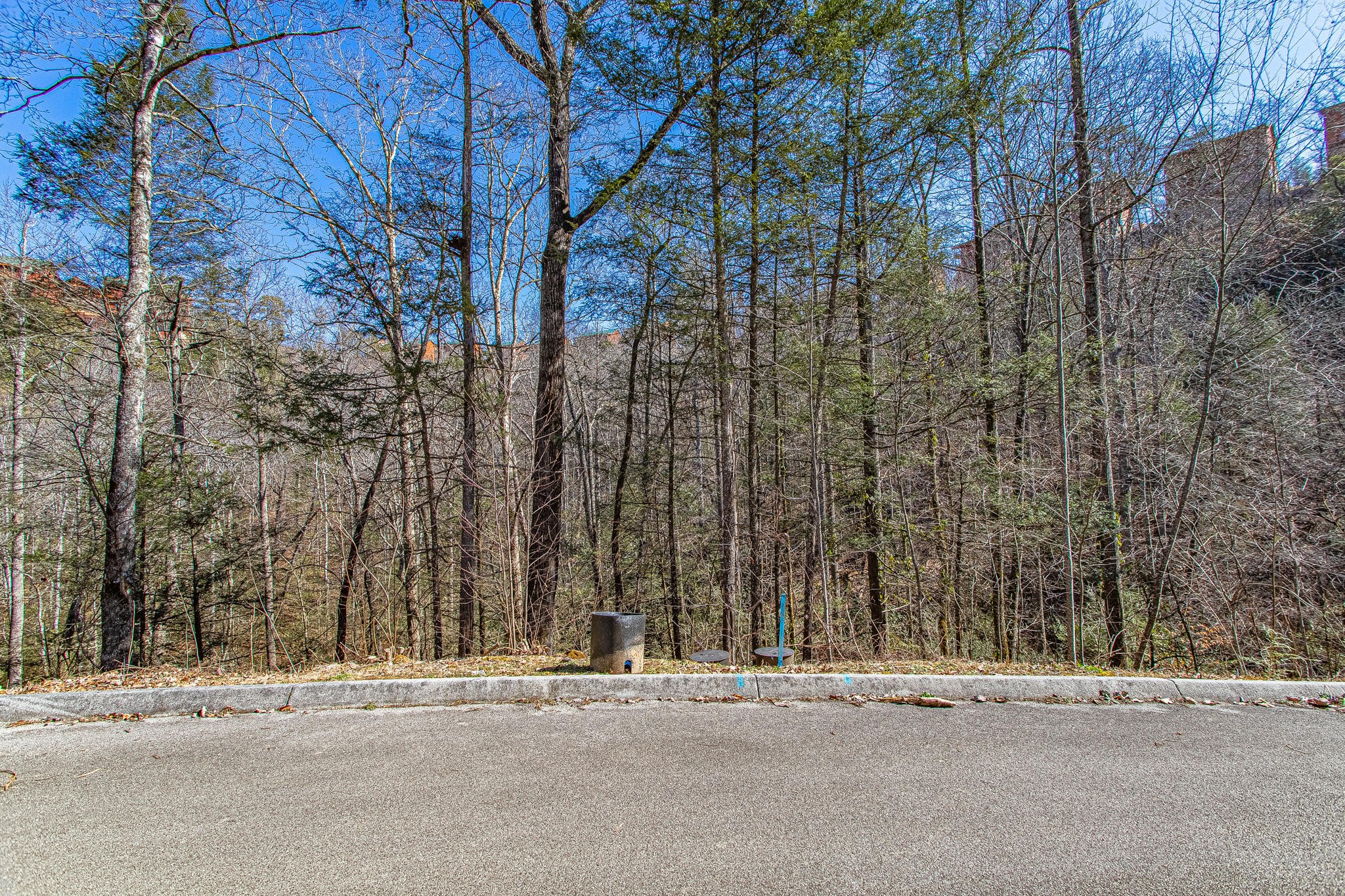 72 Smoky Ridge Way Sevierville, TN 37862 - Photo 1 of 12