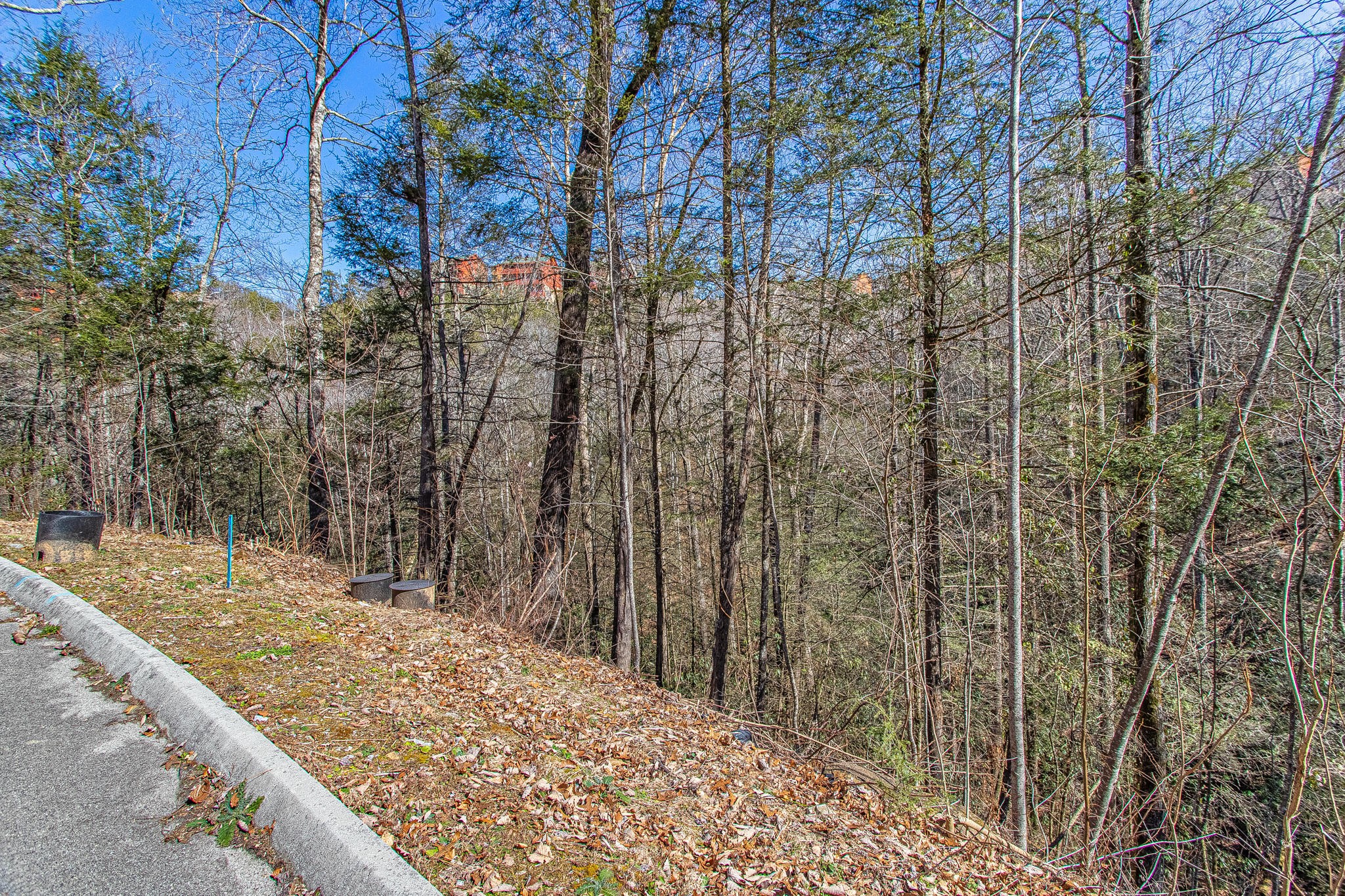 72 Smoky Ridge Way Sevierville, TN 37862 - Photo 3 of 12
