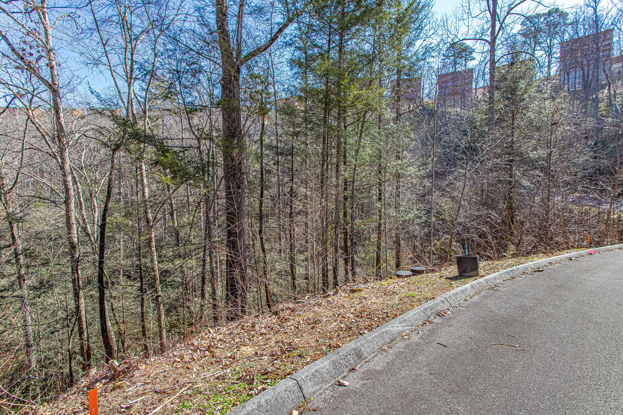 72 Smoky Ridge Way Sevierville, TN 37862 - Photo 5 of 12