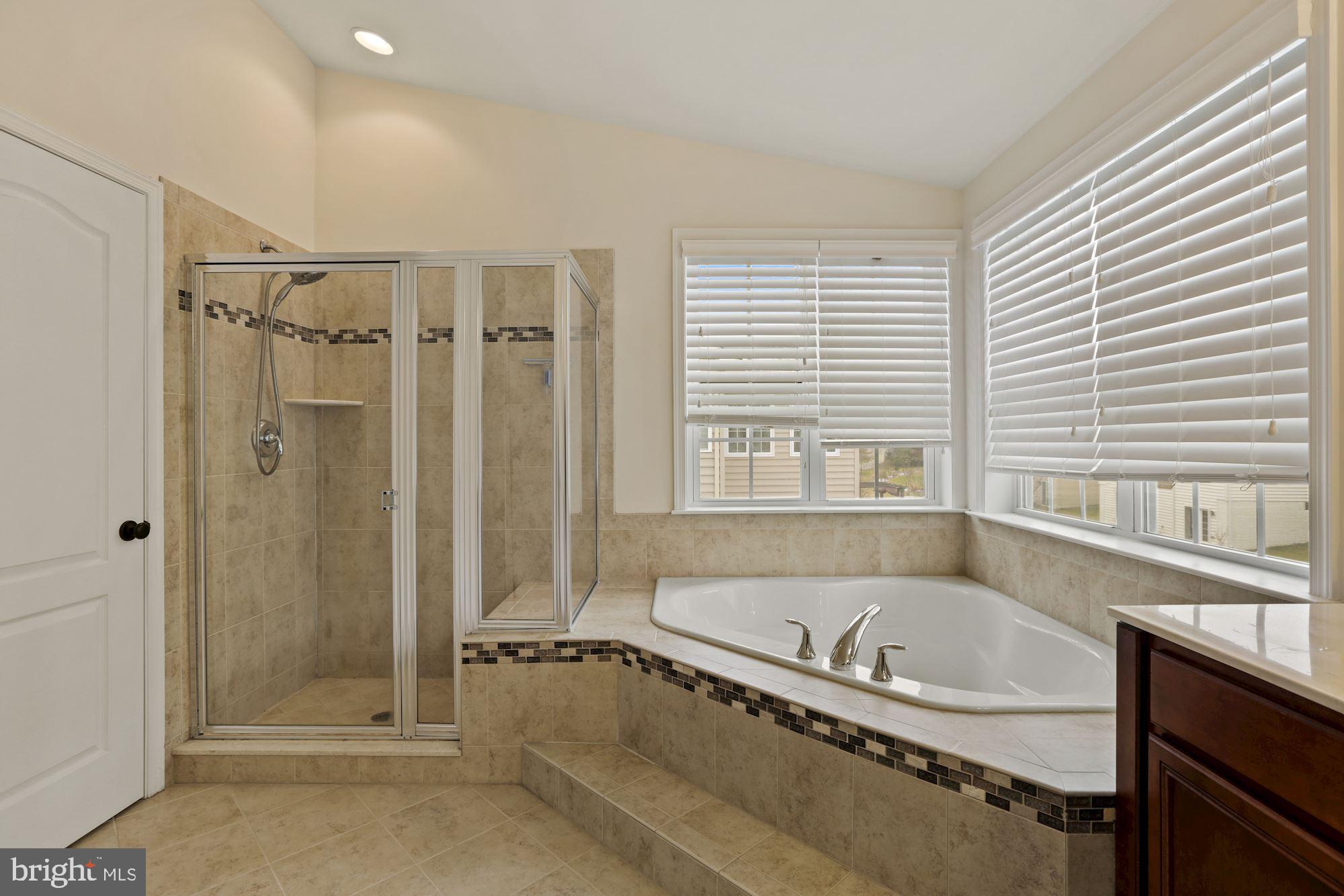 11007 Buggy Path Upper Marlboro, MD 20772 - Photo 7 of 18 a bathroom with a tub a sink and a shower