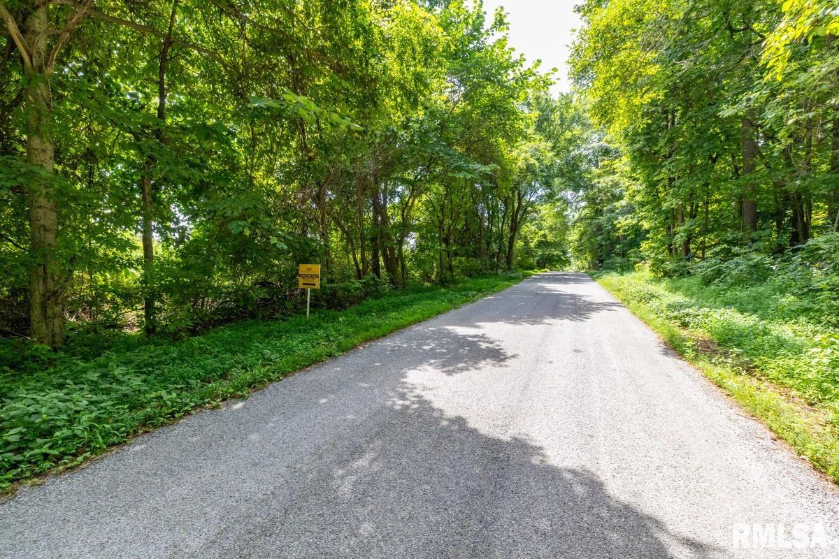0 Robinson Hill Road Makanda, IL 62958 - Photo 29 of 29
