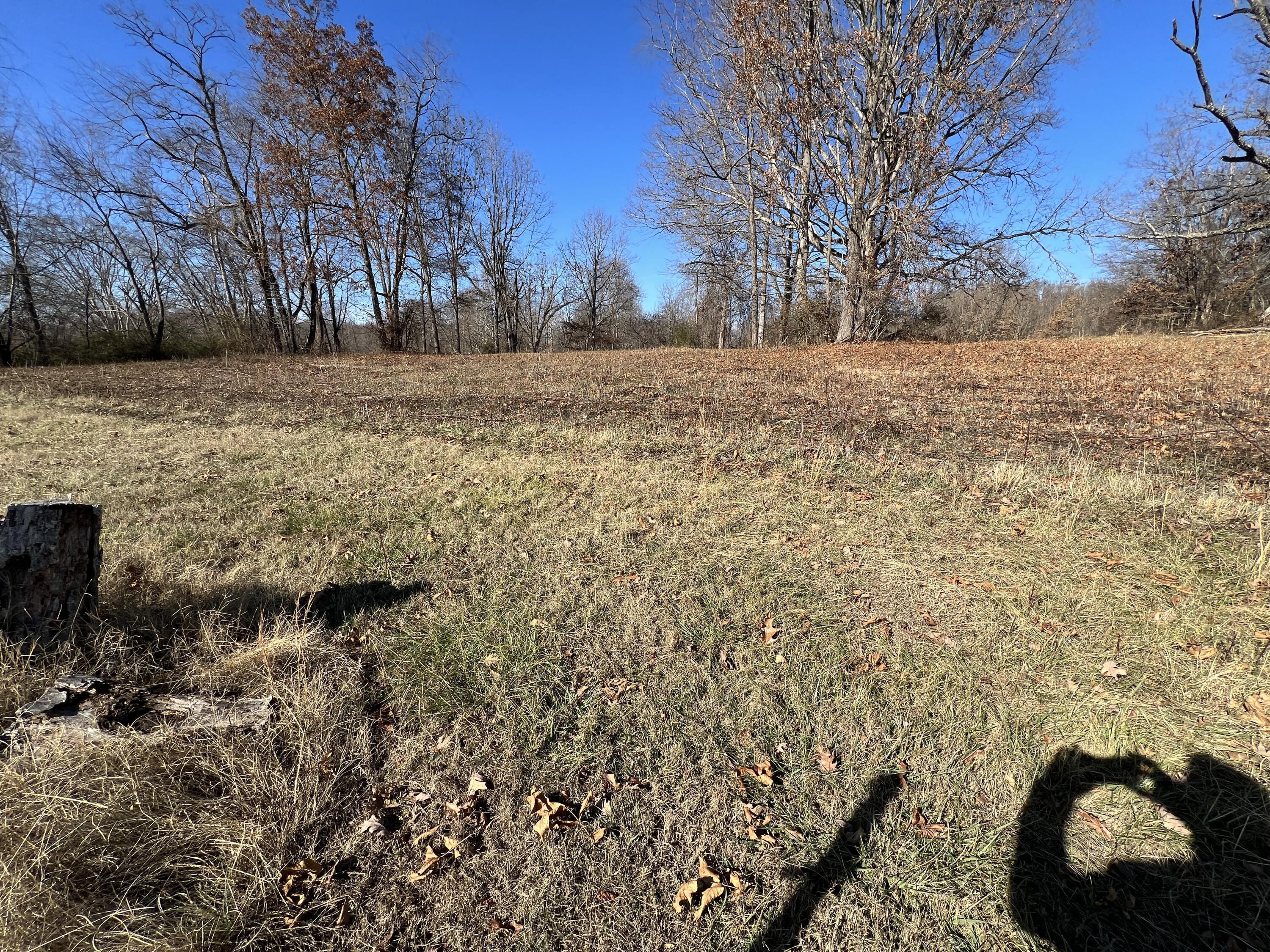 0 Granby Road Kingsport, TN 37665 - Photo 13 of 21 IMG_5678