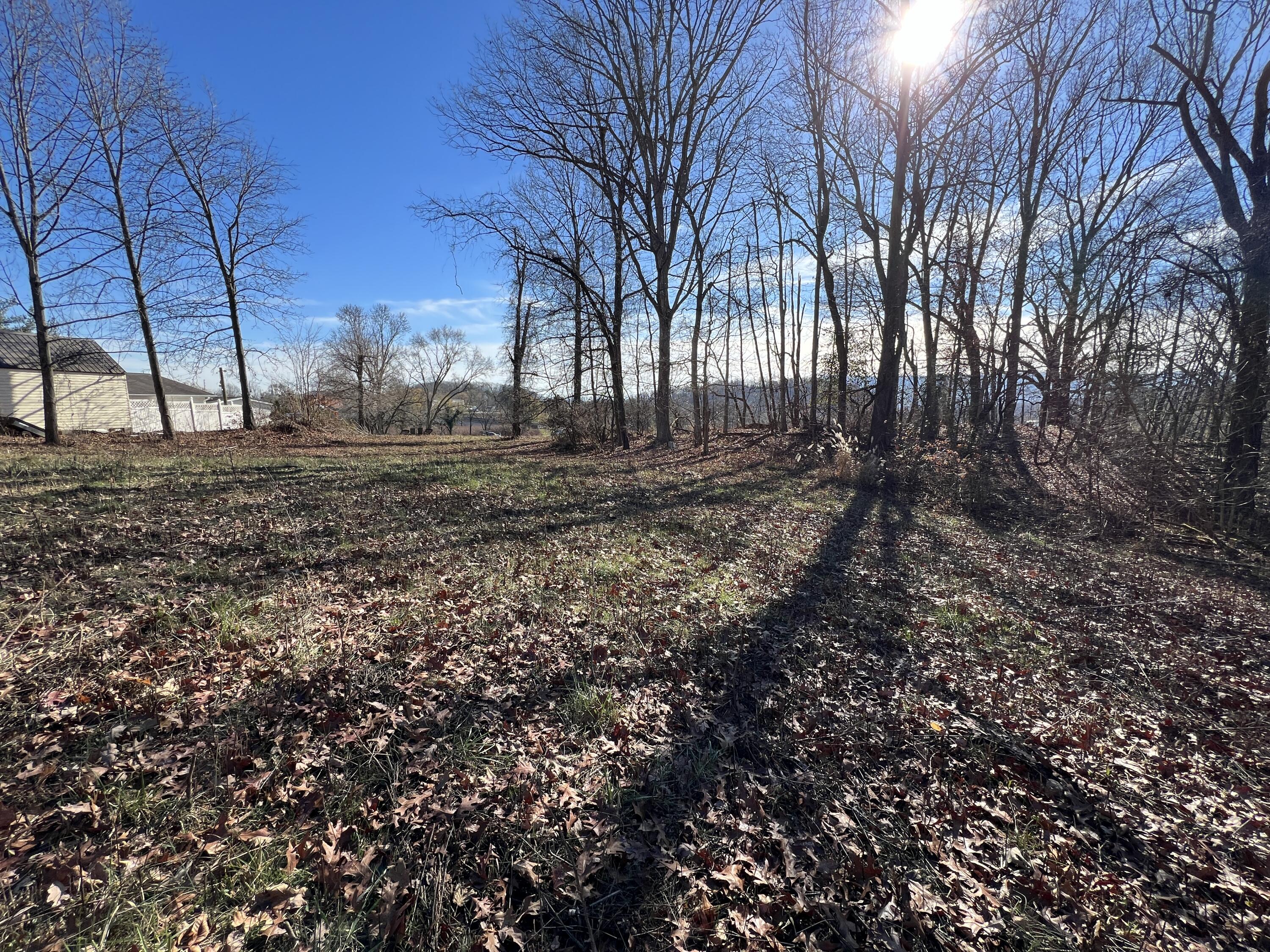 0 Granby Road Kingsport, TN 37665 - Photo 14 of 21 IMG_5685