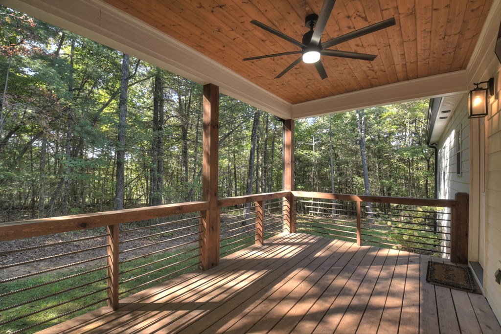 110 Cartecay Trace Ellijay, GA 30536 - Photo 11 of 22