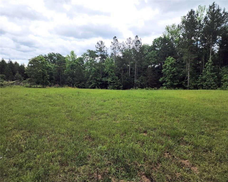 0 Daventon Road Honea Path, SC 29654 - Photo 3 of 16