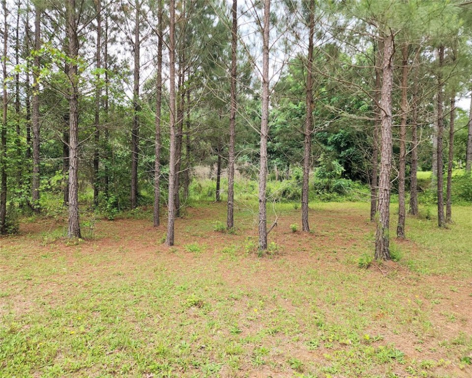0 Daventon Road Honea Path, SC 29654 - Photo 10 of 16
