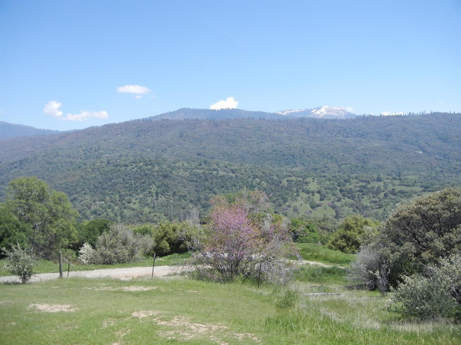 51272 Hogback Road Badger, CA 93603 - Photo 18 of 21 Additional Photo