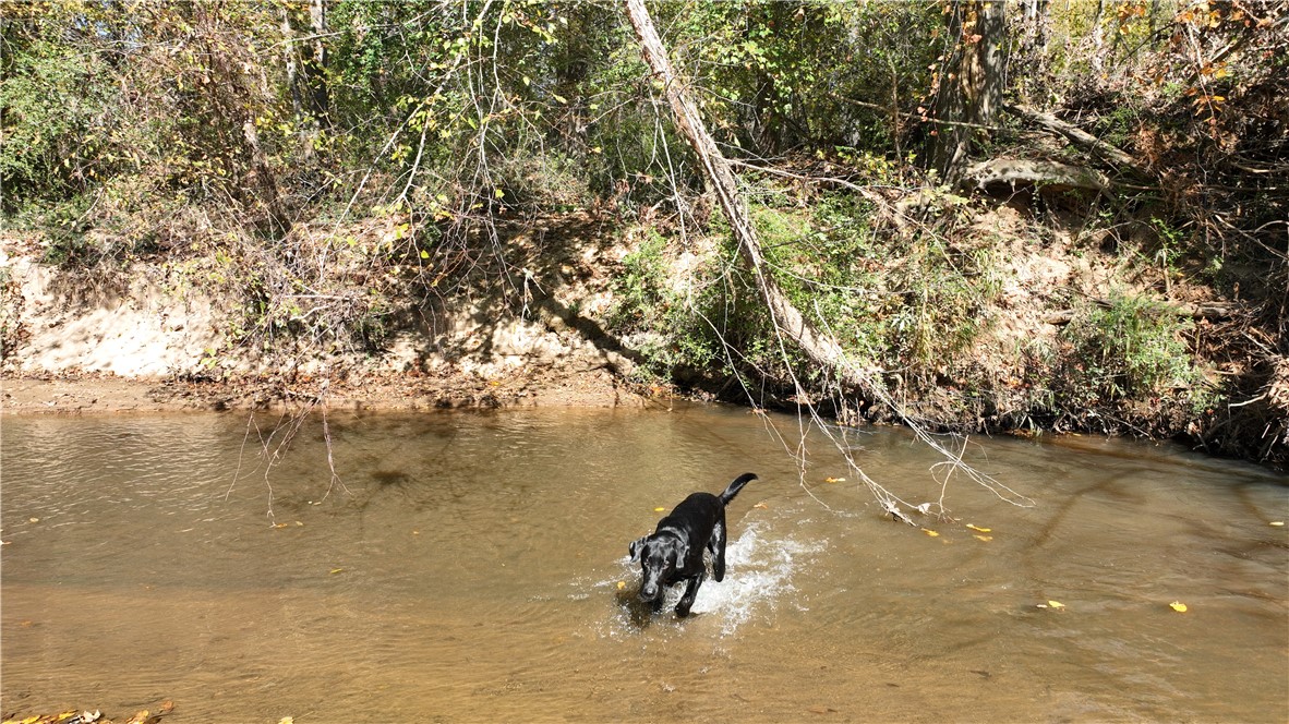 0 Griffith Drive Liberty, SC 29657 - Photo 18 of 24
