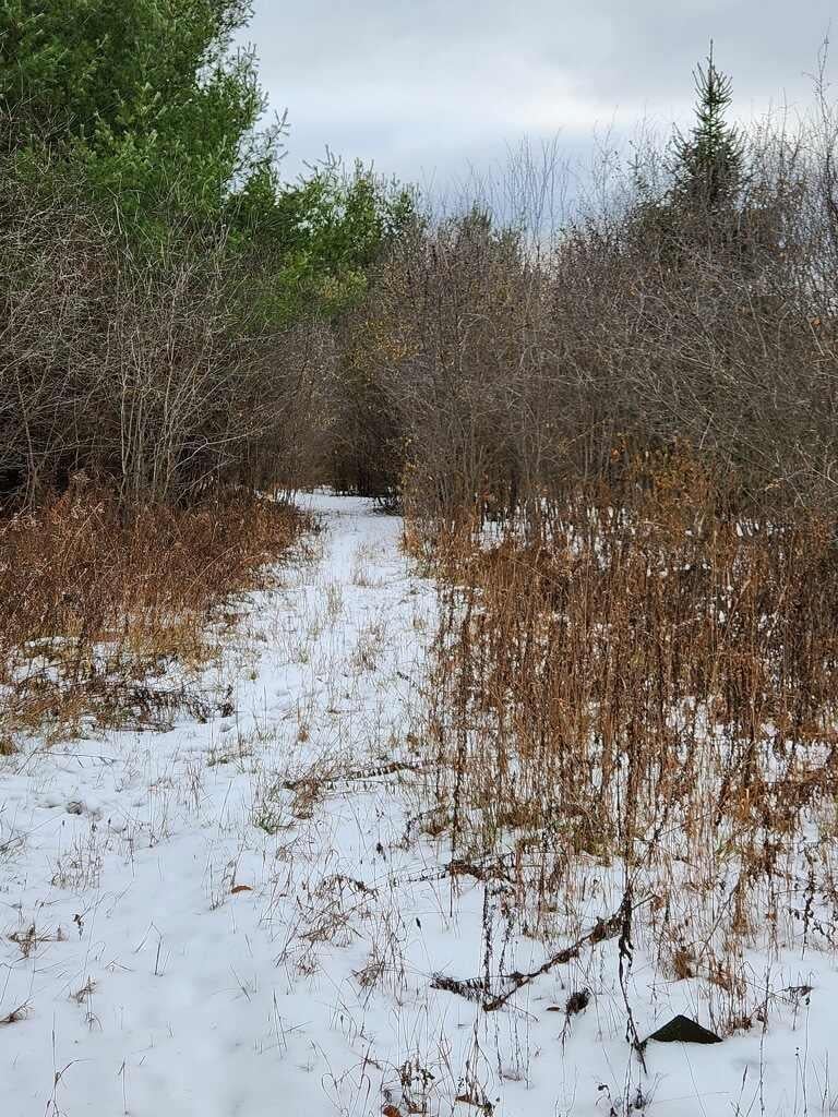 N1351 Tannery Road Merrill, WI 54452 - Photo 19 of 21 Gallery Image 19