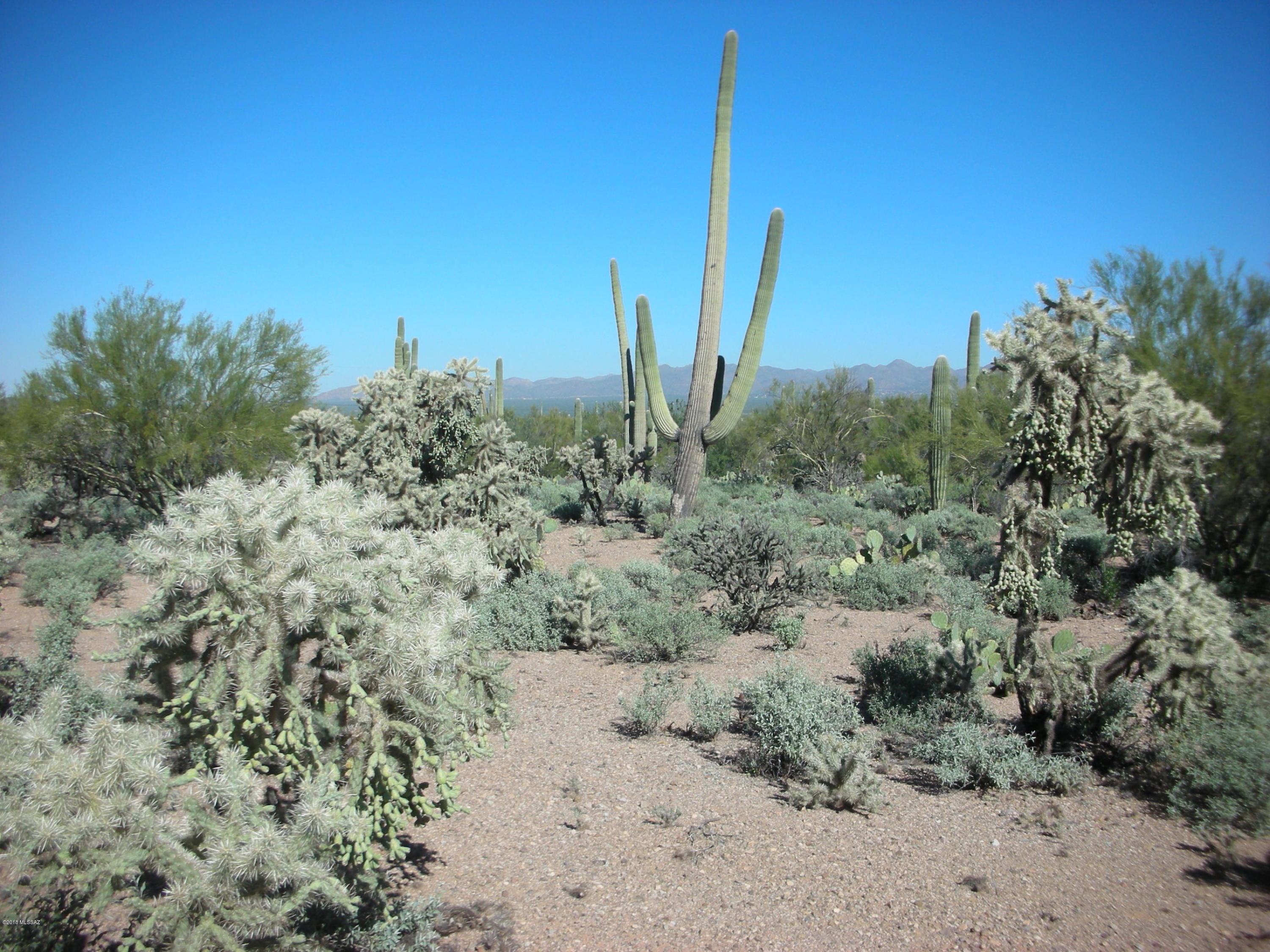 7490 West Ina Road Tucson, AZ 85743 - Photo 17 of 18 Gallery Image 17