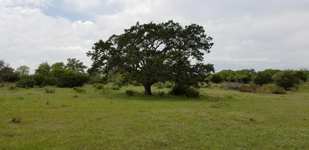 Lot 5 Garrison Road, Unit 5 Fredericksburg, TX 78624 - Photo 1 of 1 Main View