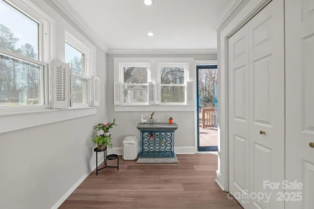 a view of a room with wooden floor and a potted plant