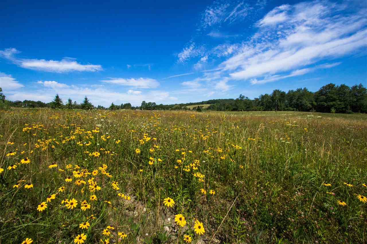 4285 Oak Hill Road Williston, VT 05495 - Photo 4 of 40