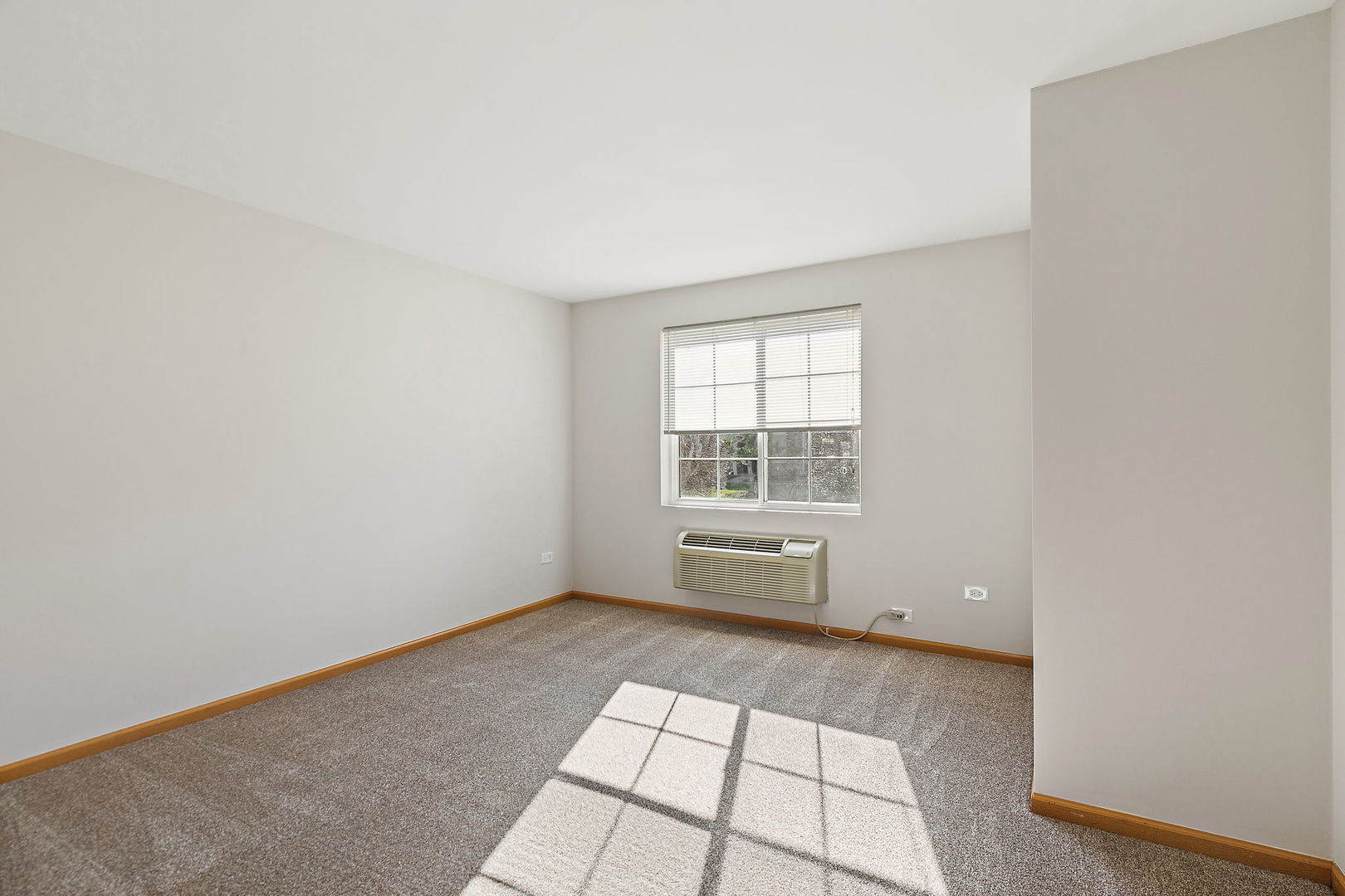 1809 Silverstone Drive, Unit 1809 Carpentersville, IL 60110 - Photo 9 of 17 an empty room with windows