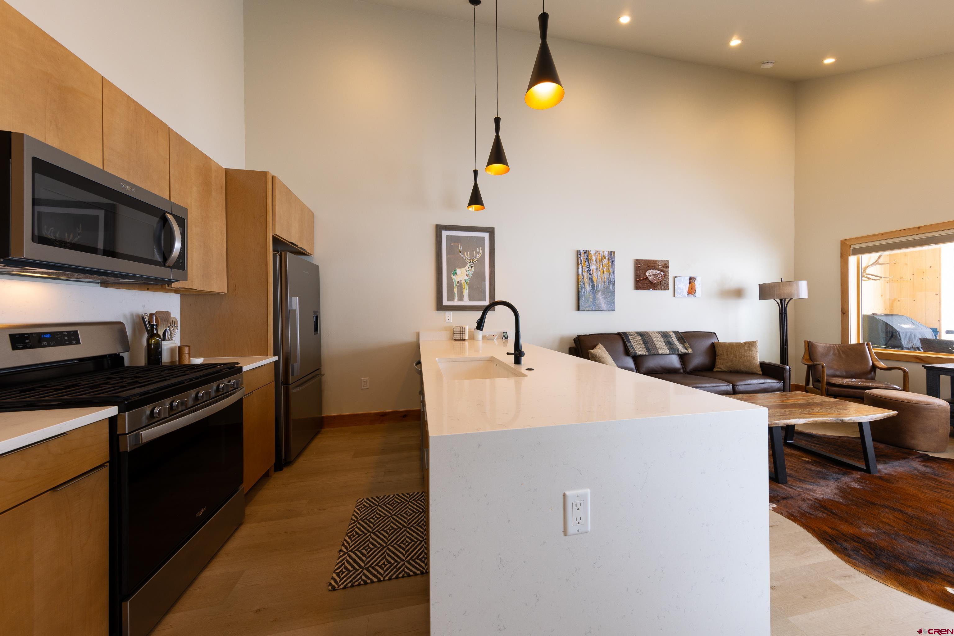 101 Elk Valley Road, Unit B Crested Butte, CO 81224 - Photo 5 of 33 a large kitchen with stainless steel appliances and a refrigerator