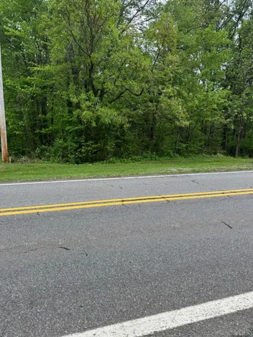 a view of a big yard with large trees