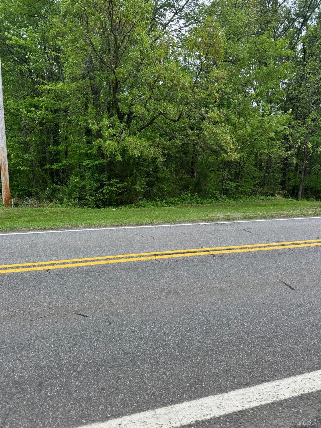 a view of a big yard with large trees