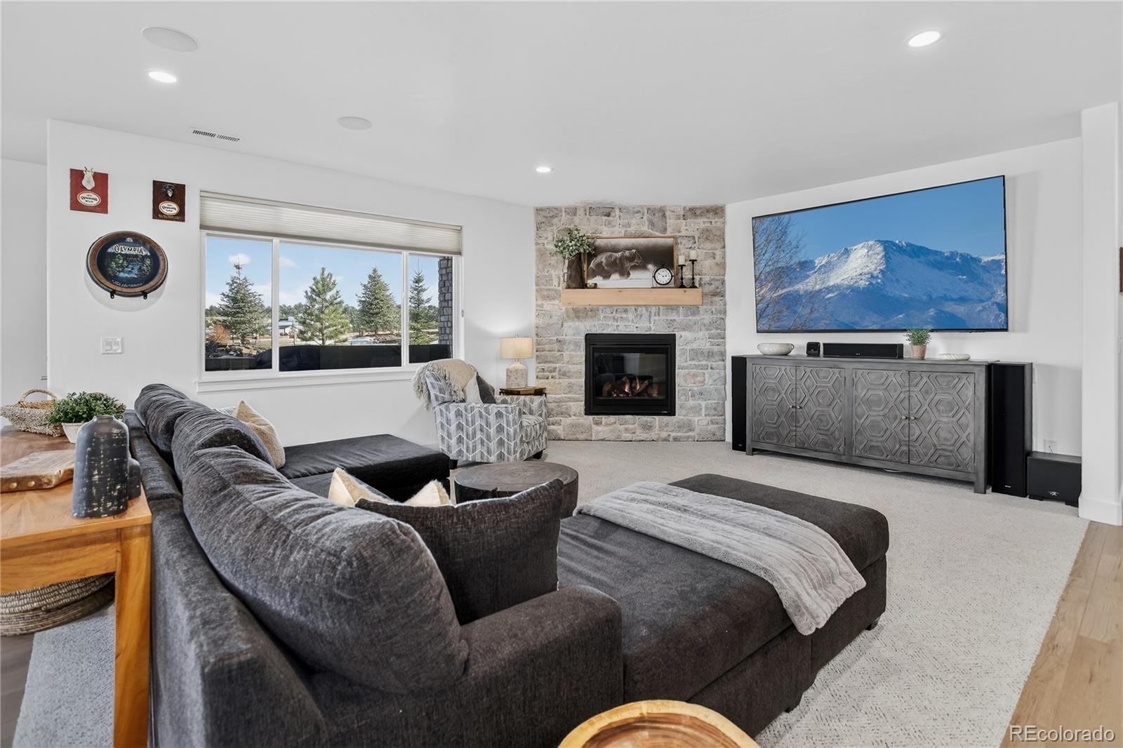 3313 Bark Tree Trail Colorado Springs, CO 80921 - Photo 27 of 49