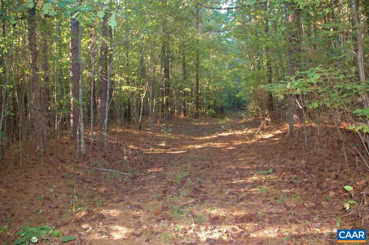 Hanback Rd Road Gordonsville, VA 22942 - Photo 14 of 16