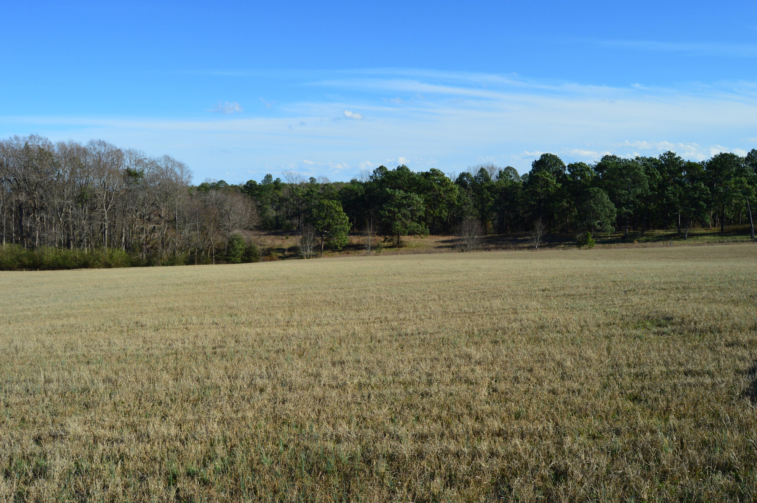 Lot 4 Battlewick Road Southern Pines, NC 28387 - Photo 11 of 19 DSC_0046
