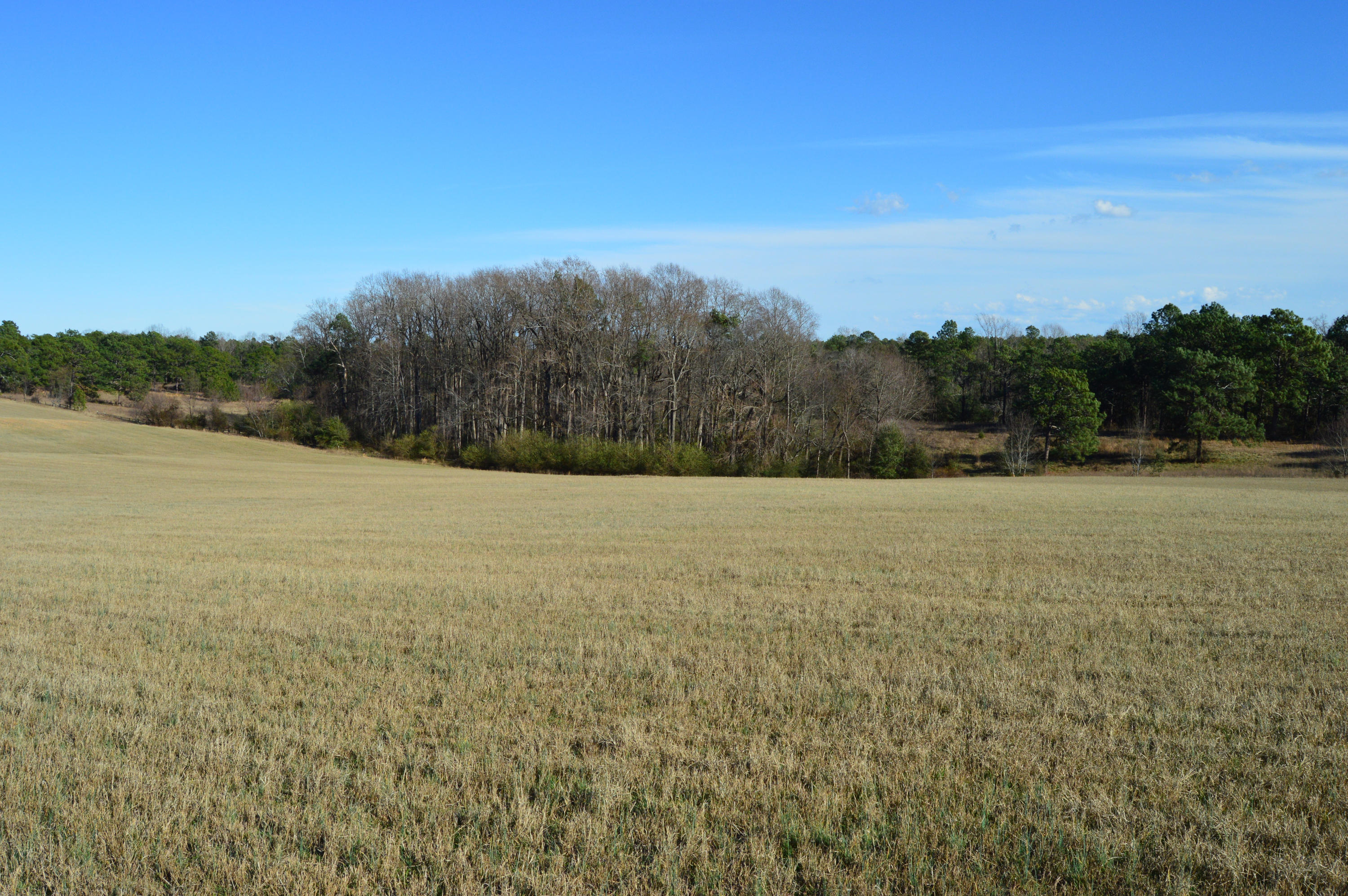 Lot 4 Battlewick Road Southern Pines, NC 28387 - Photo 12 of 19 DSC_0047